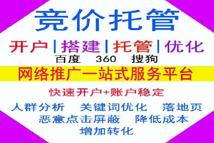 专业SEM代运营推广公司成功案例分享
